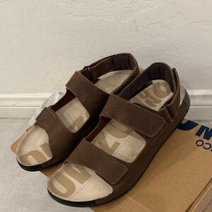 Ecco Men's Dark Brown Sandals